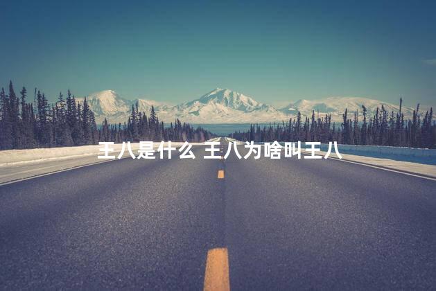 王八是什么 王八为啥叫王八